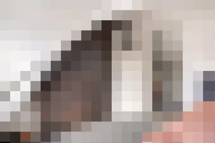 Heernisseweg 44 Goes thumbnail 14