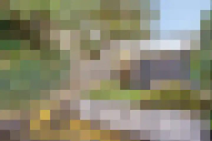 Heernisseweg 44 Goes thumbnail 17