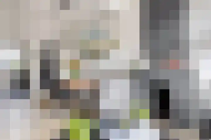 Heernisseweg 44 Goes thumbnail 4