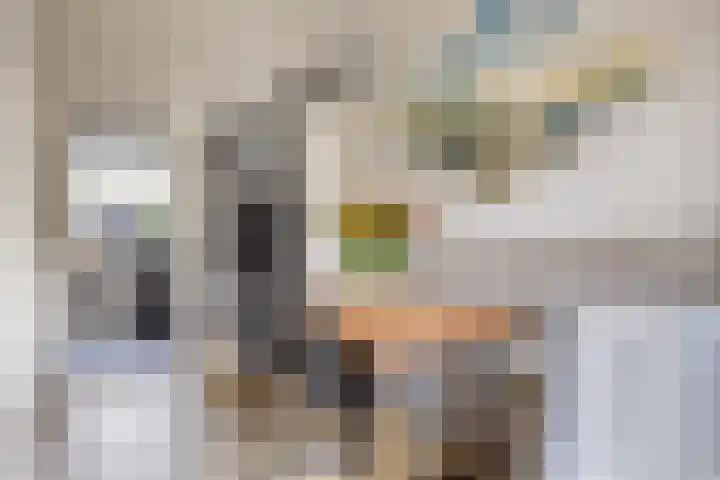 Heernisseweg 44 Goes thumbnail 6
