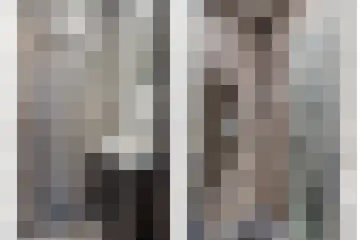 Heernisseweg 44 Goes thumbnail 9