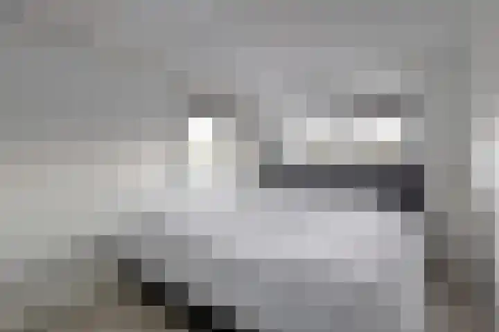 Heernisseweg 57 Goes thumbnail 16