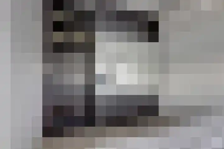 Heernisseweg 57 Goes thumbnail 17