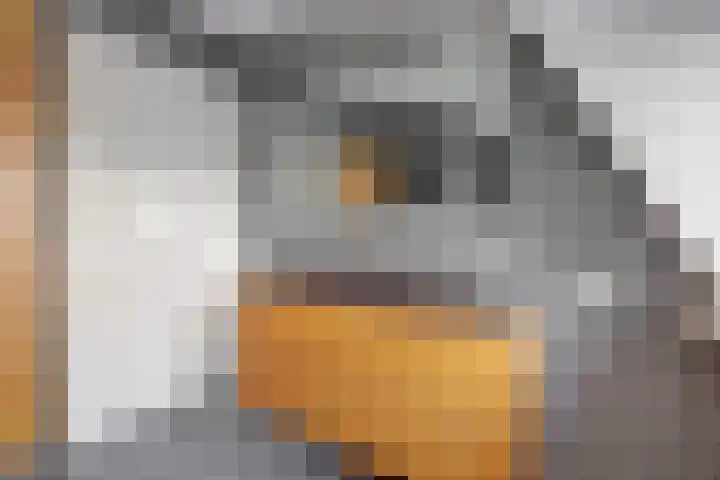 Heernisseweg 57 Goes thumbnail 20