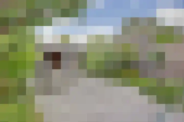 Heernisseweg 57 Goes thumbnail 25