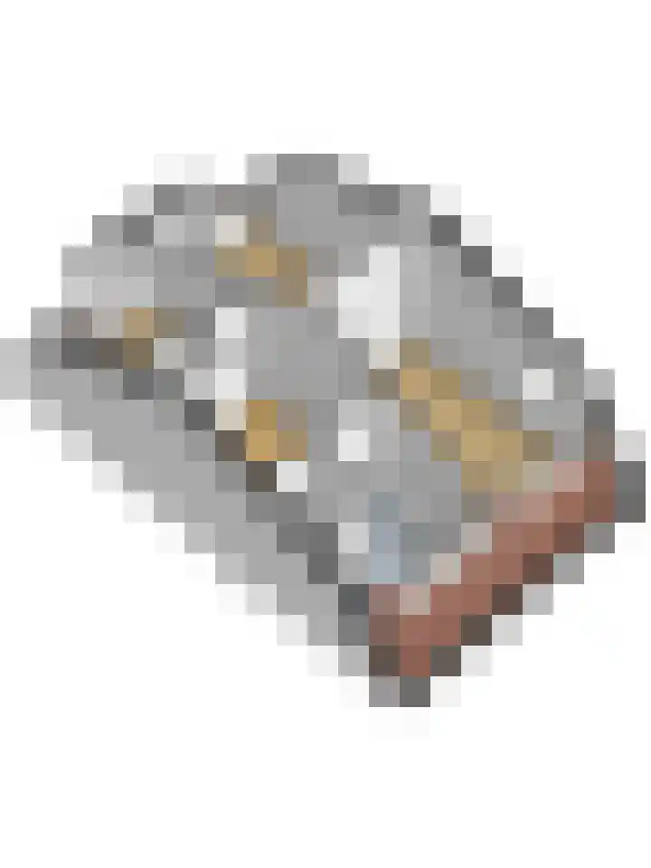Heernisseweg 57 Goes thumbnail 39