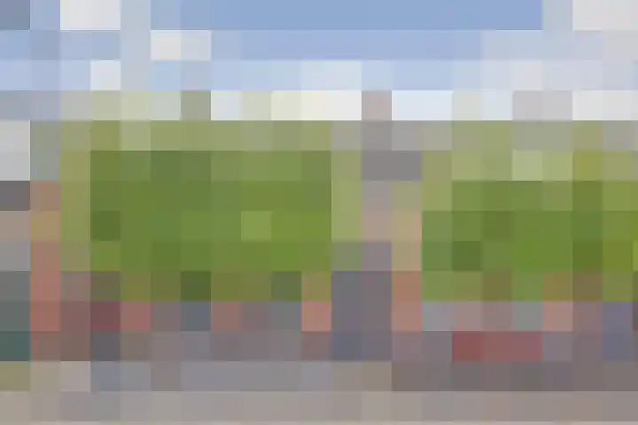Heernisseweg 57 Goes thumbnail 4