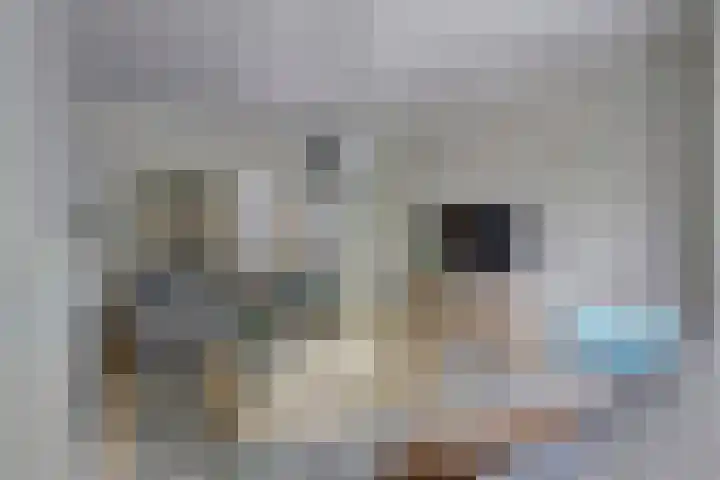 Heernisseweg 57 Goes thumbnail 7