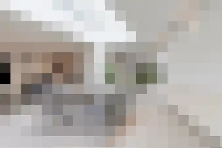 Heernisseweg 80 Goes thumbnail 14