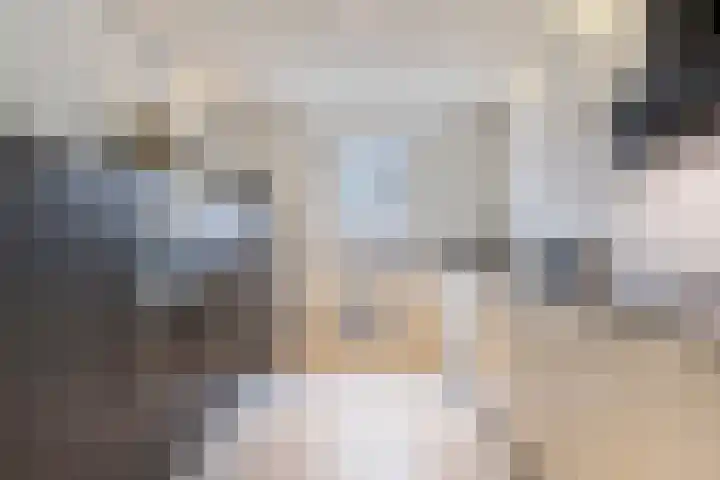 Heernisseweg 80 Goes thumbnail 17