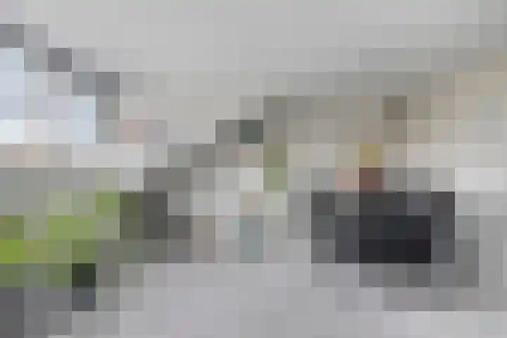 Heernisseweg 80 Goes thumbnail 32