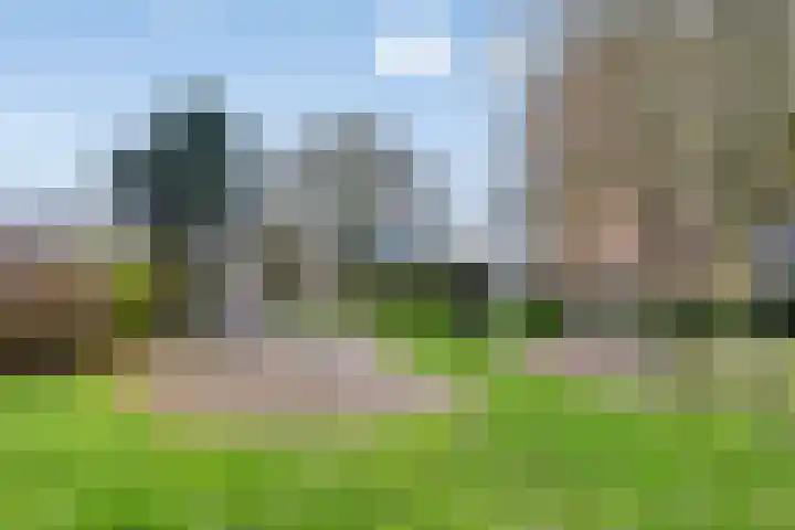 Heernisseweg 80 Goes thumbnail 46