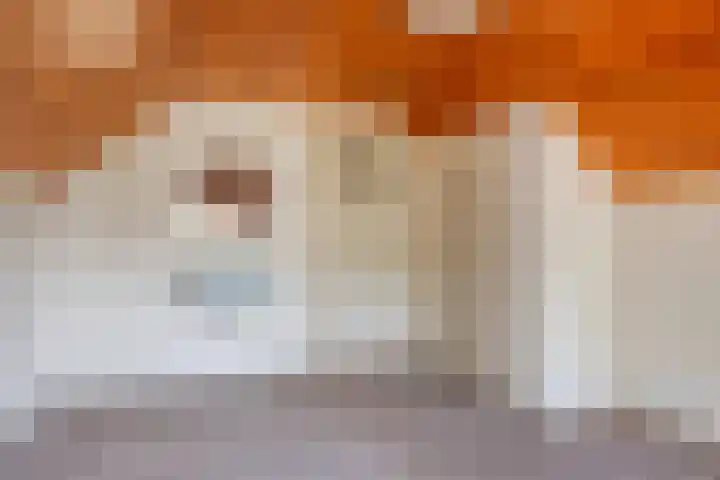 Heers 19 Veldhoven thumbnail 24