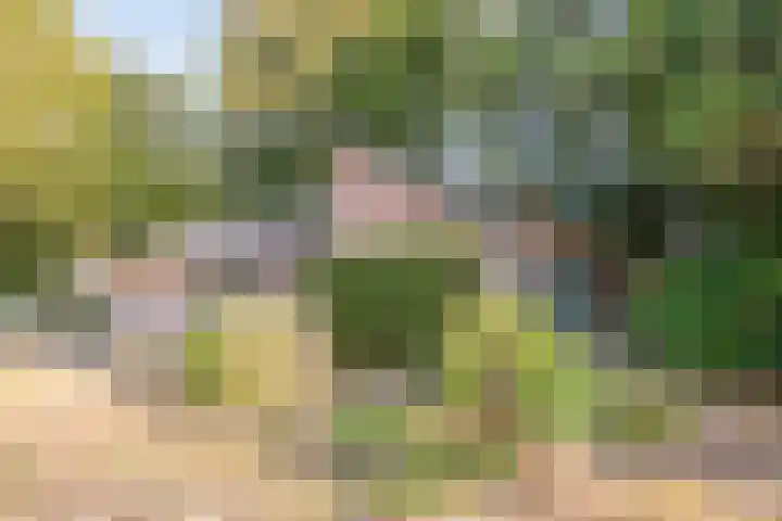 Heers 19 Veldhoven thumbnail 32