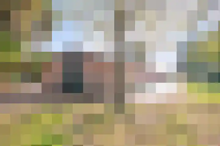 Heers 19 Veldhoven thumbnail 37