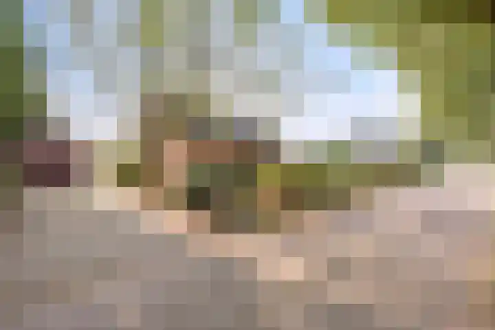 Heers 19 Veldhoven thumbnail 4