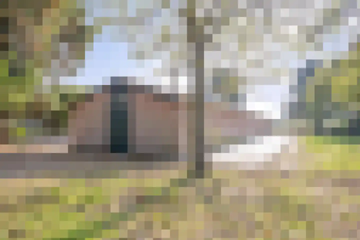 Heers 19 Veldhoven thumbnail 4