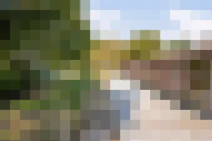 Heers 19 Veldhoven thumbnail 42