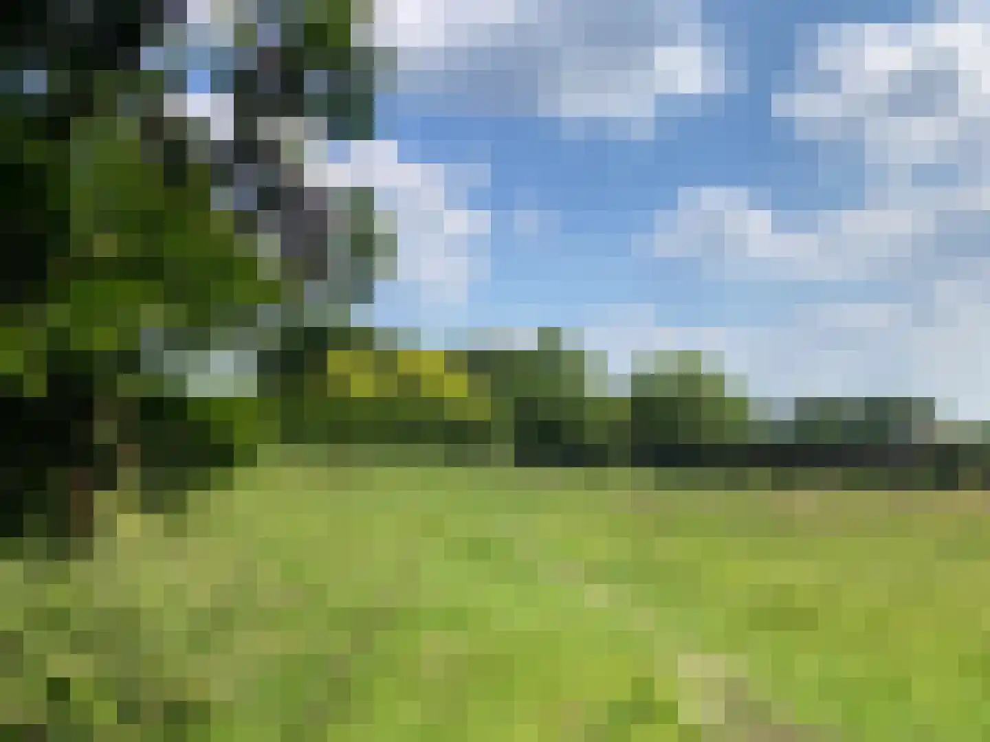 Heers Veldhoven thumbnail 4