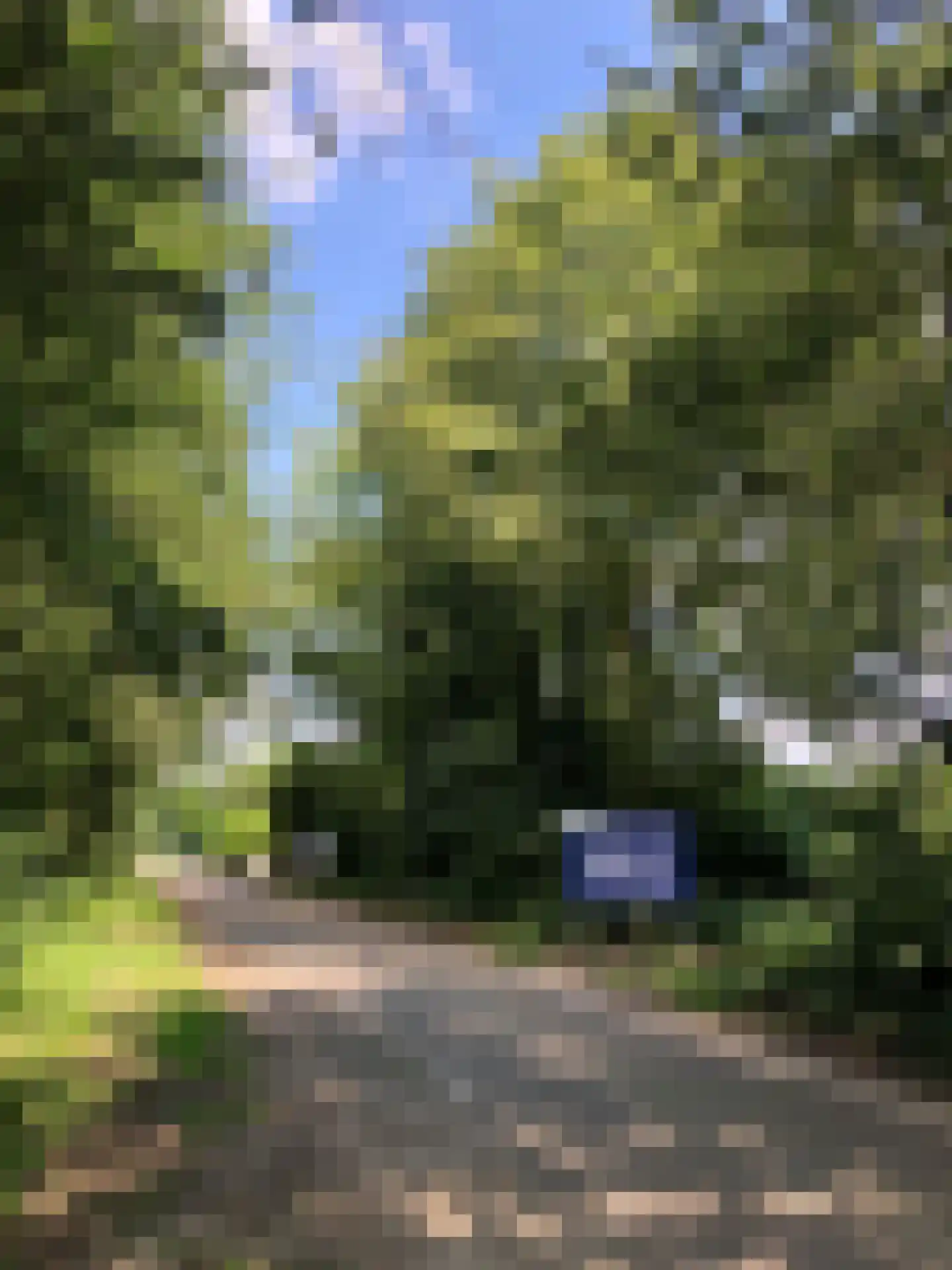Heers Veldhoven thumbnail 6