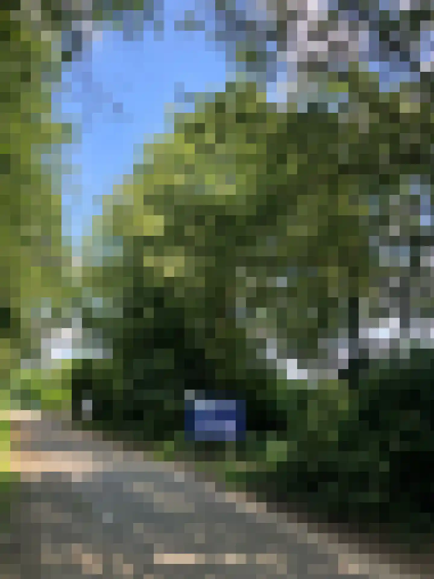 Heers Veldhoven thumbnail 7