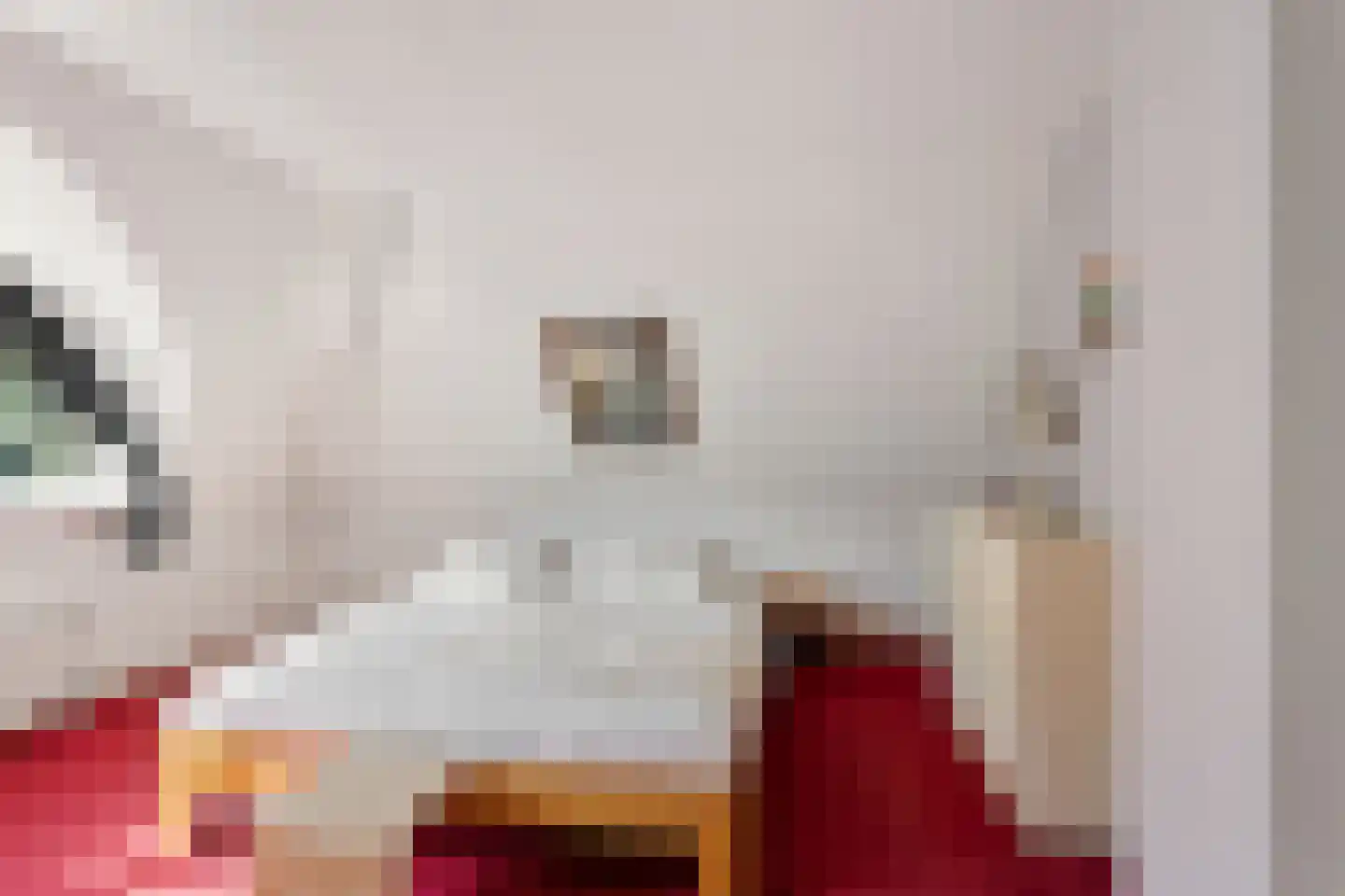 Heerschaphorst 15 Enschede thumbnail 28