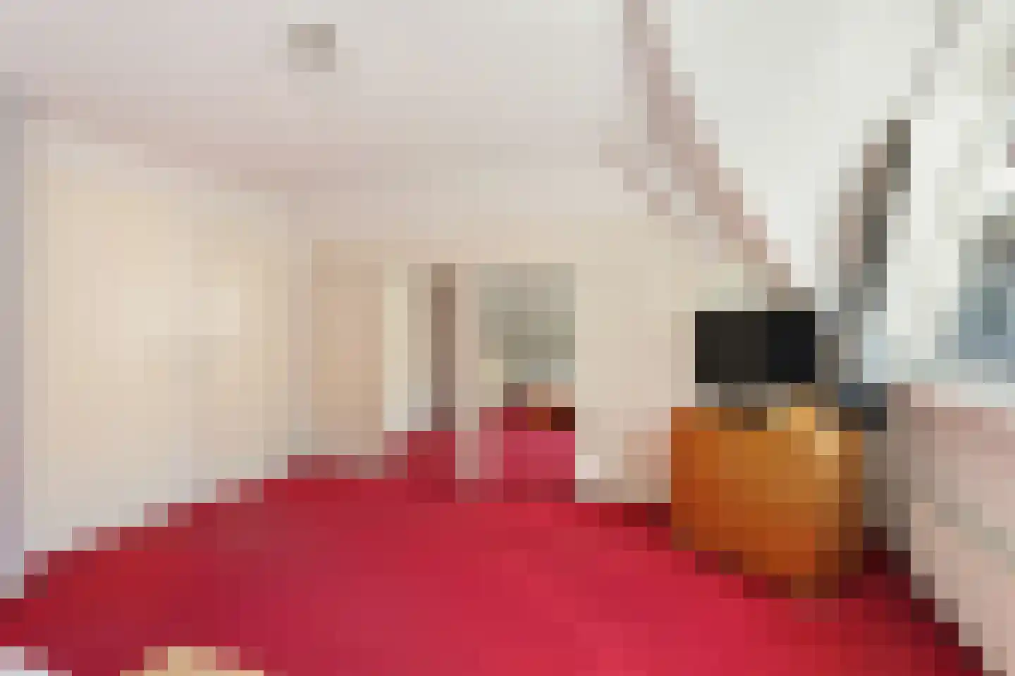 Heerschaphorst 15 Enschede thumbnail 30