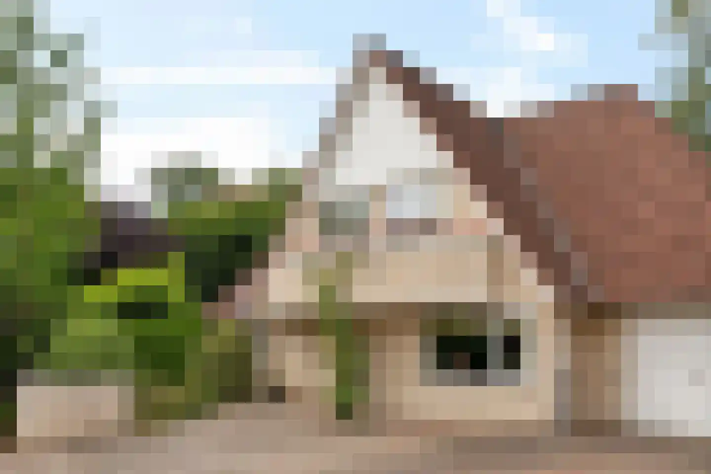 Heerschaphorst 15 Enschede thumbnail 46