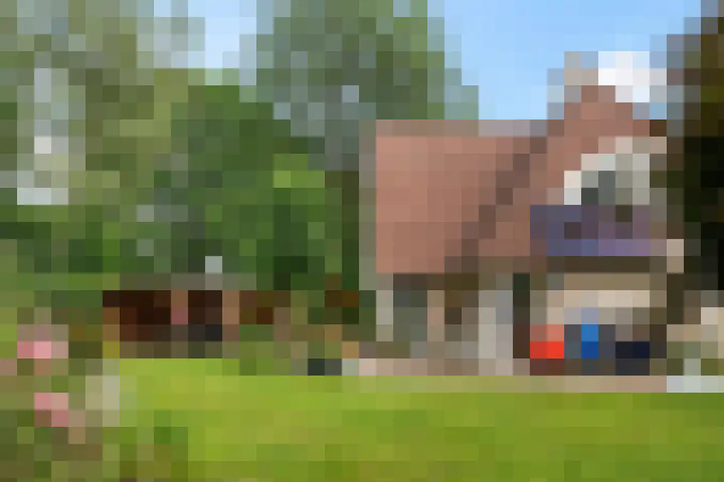 Heerschaphorst 15 Enschede thumbnail 5