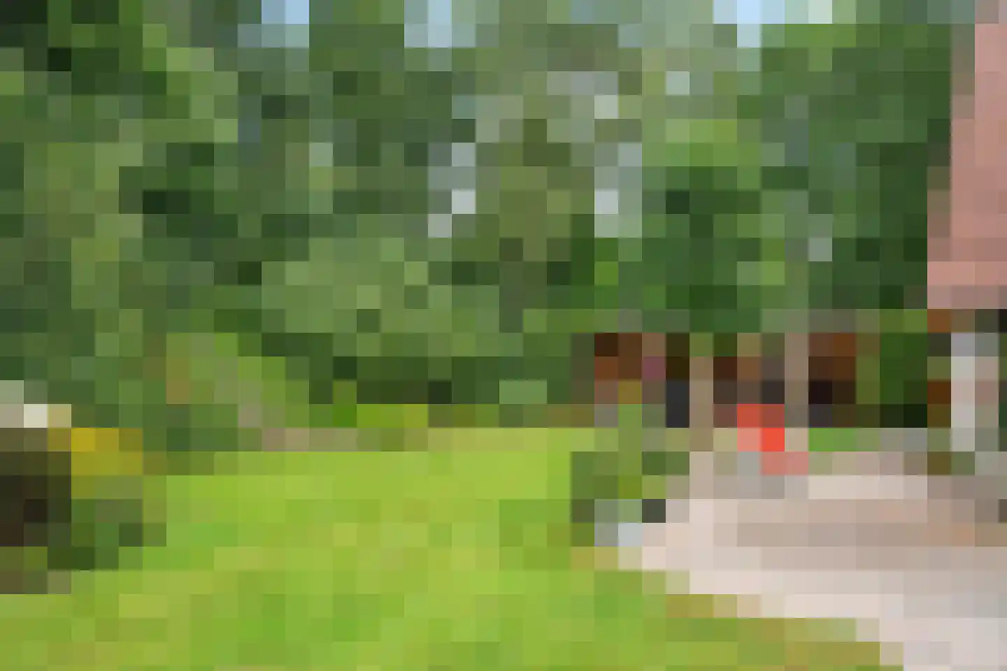Heerschaphorst 15 Enschede thumbnail 54