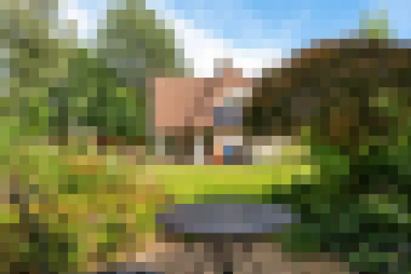 Heerschaphorst 15 Enschede thumbnail 58