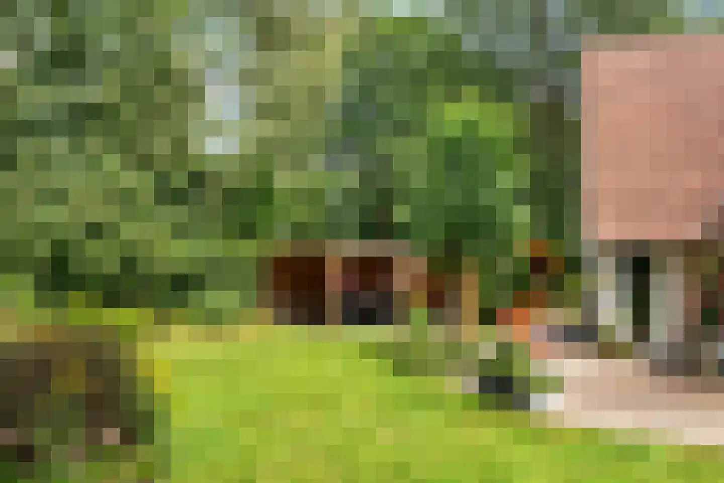 Heerschaphorst 15 Enschede thumbnail 60