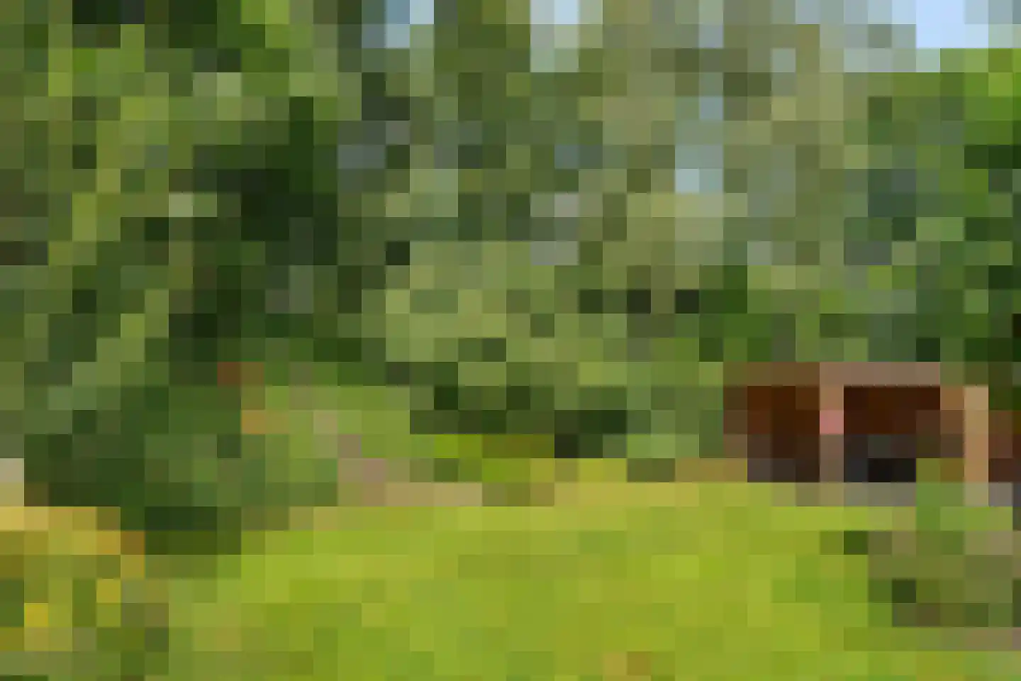 Heerschaphorst 15 Enschede thumbnail 61