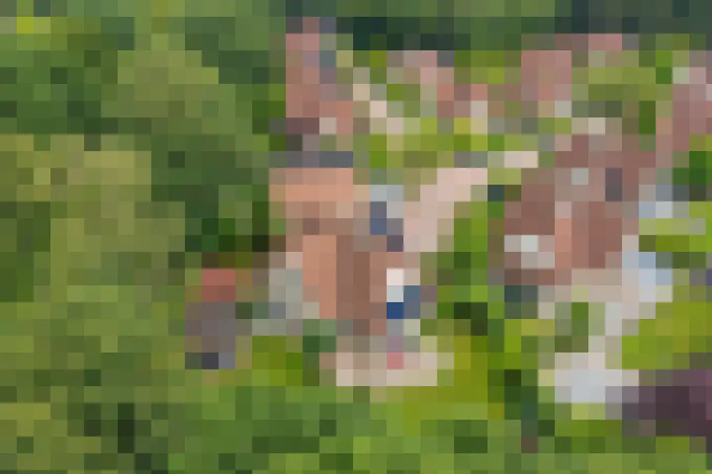 Heerschaphorst 15 Enschede thumbnail 63