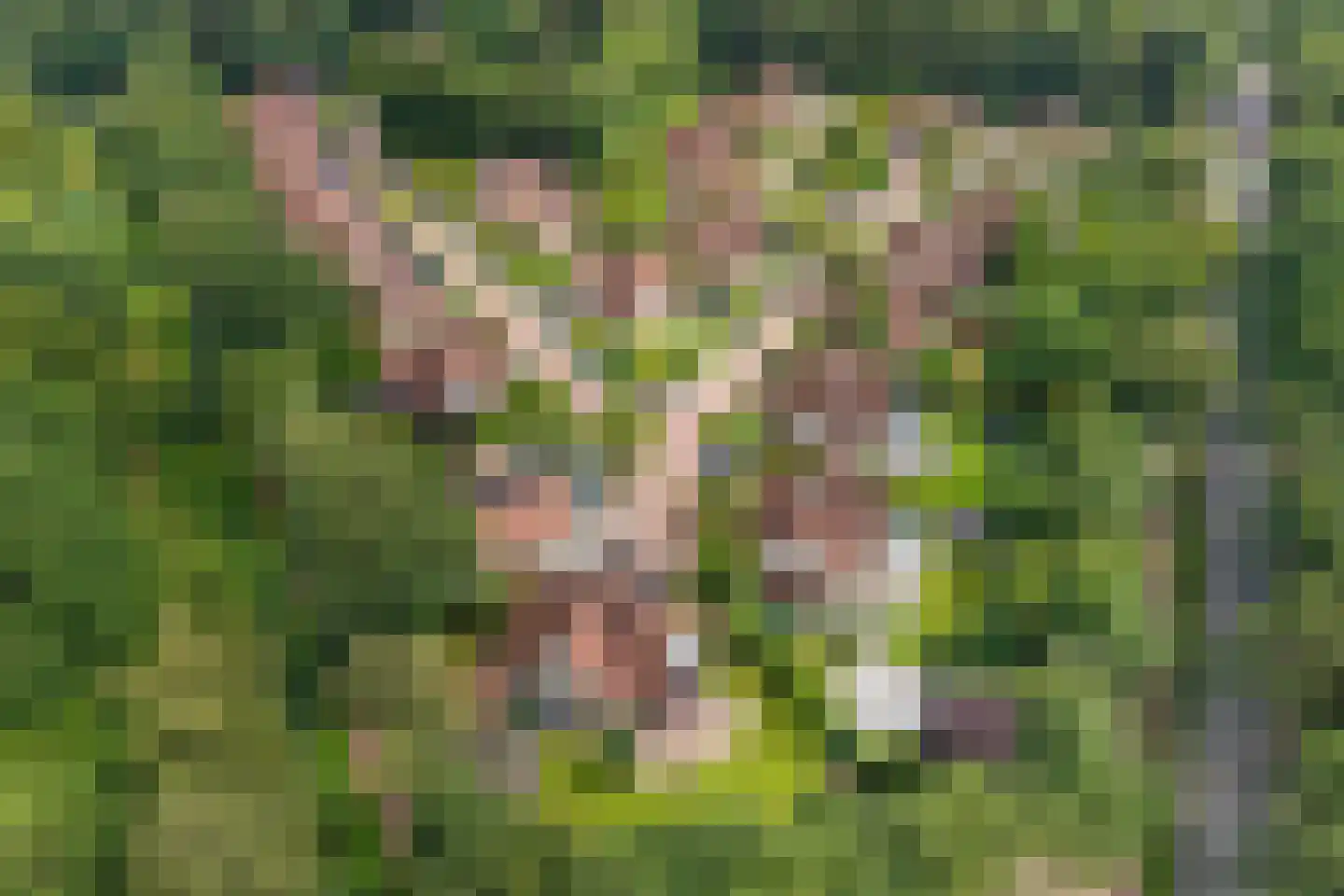 Heerschaphorst 15 Enschede thumbnail 66