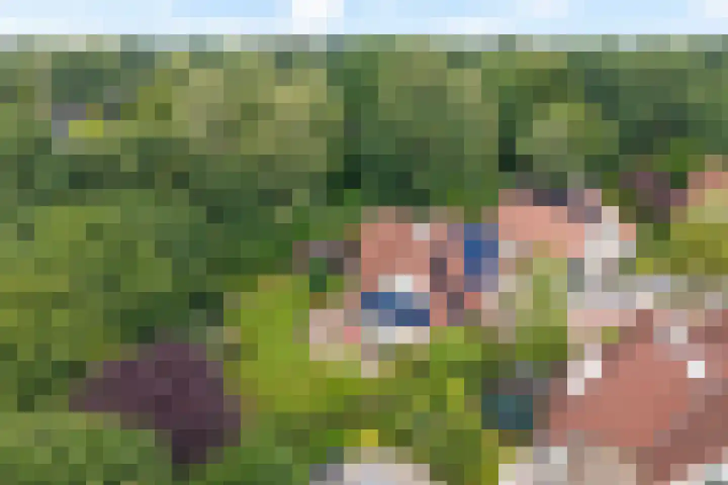 Heerschaphorst 15 Enschede thumbnail 68