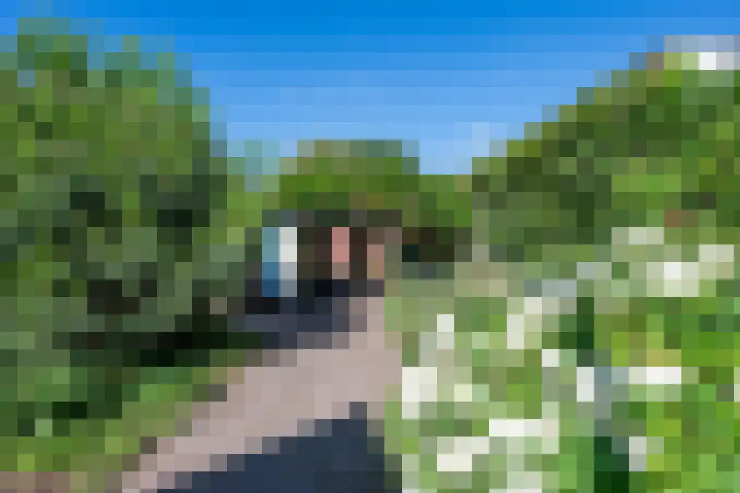 Heerseweg 12 Veldhoven thumbnail 30