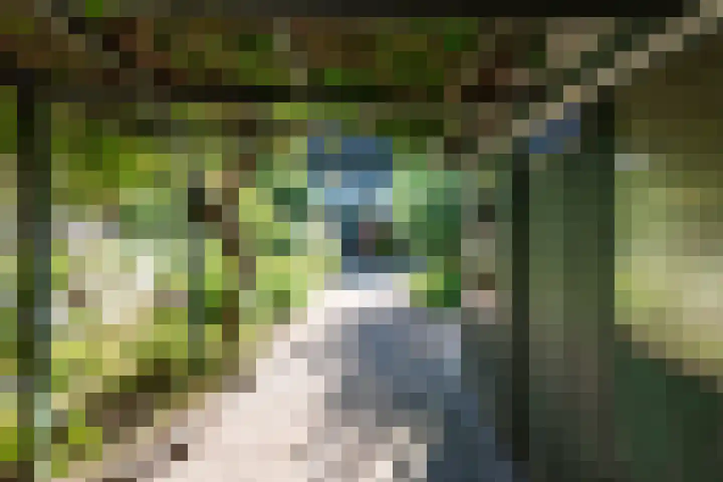 Heerseweg 12 Veldhoven thumbnail 34