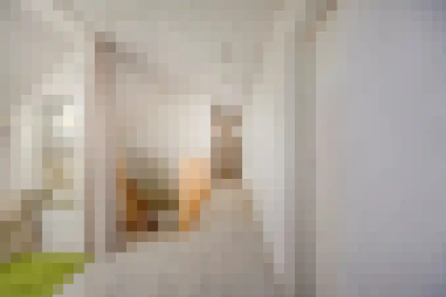 Heerseweg 122 Veldhoven thumbnail 22