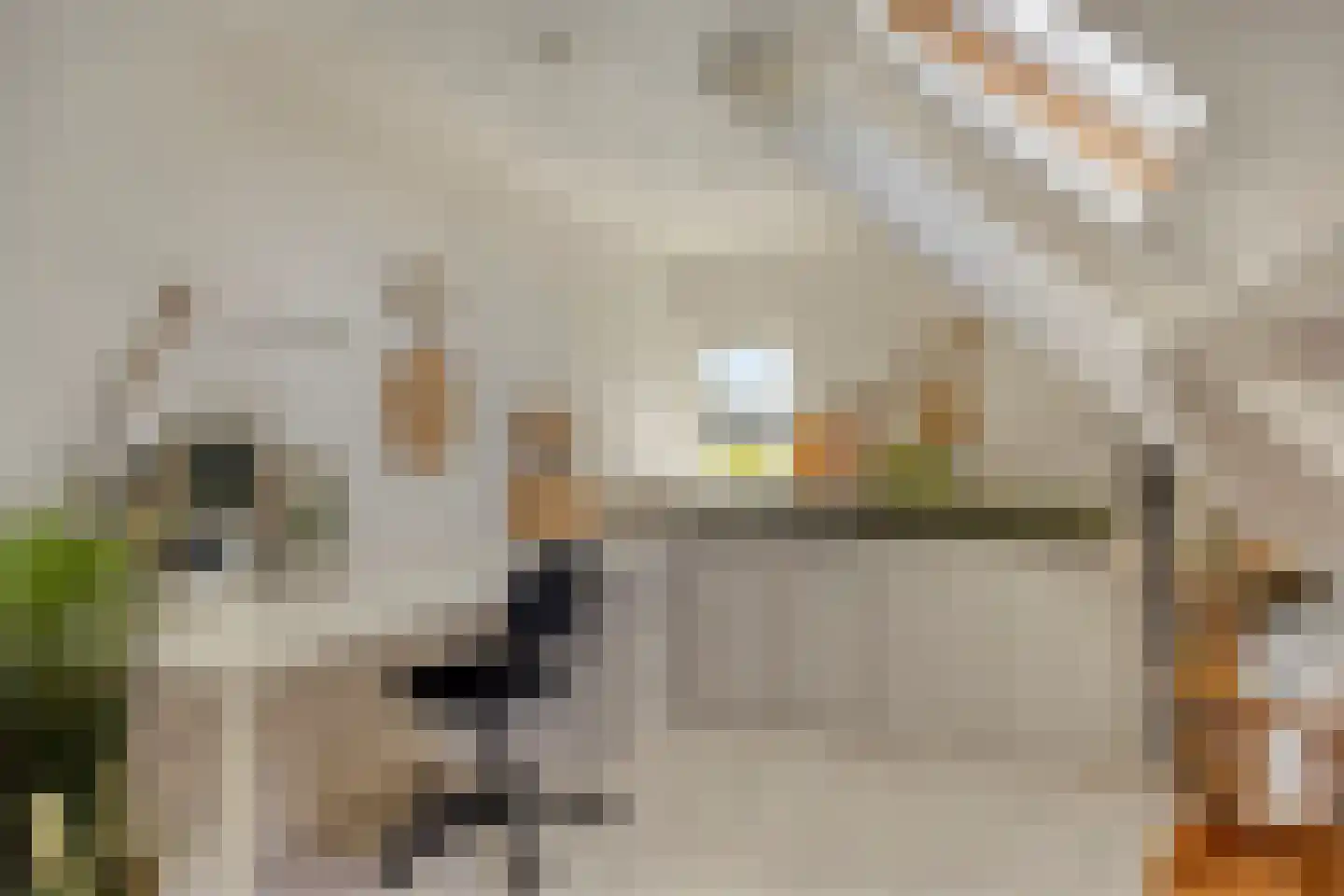 Heerseweg 122 Veldhoven thumbnail 30