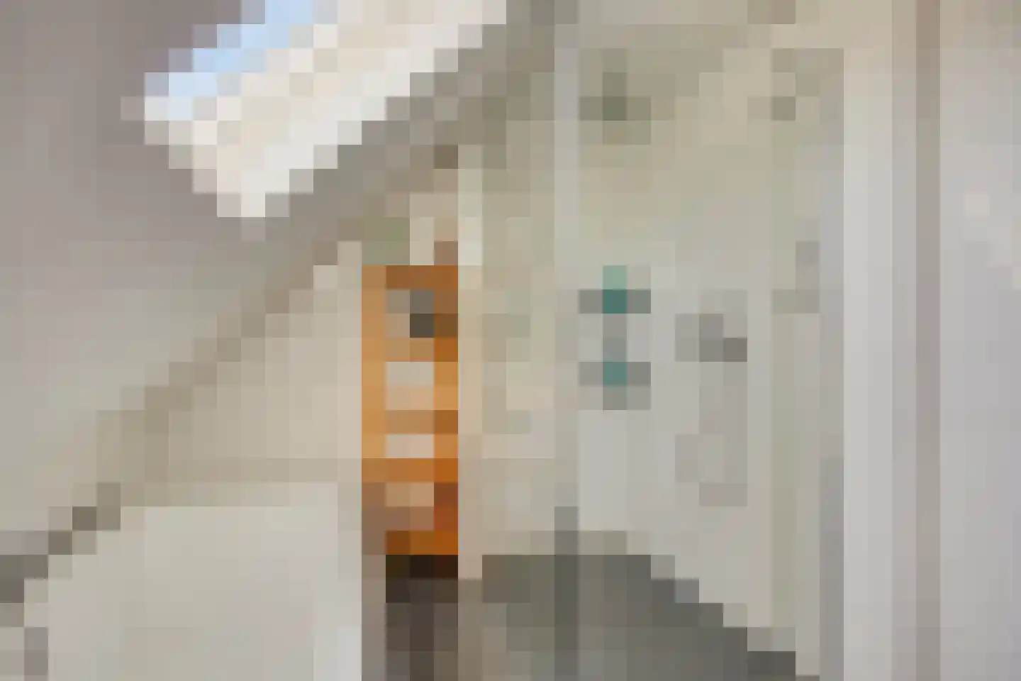 Heerseweg 122 Veldhoven thumbnail 37