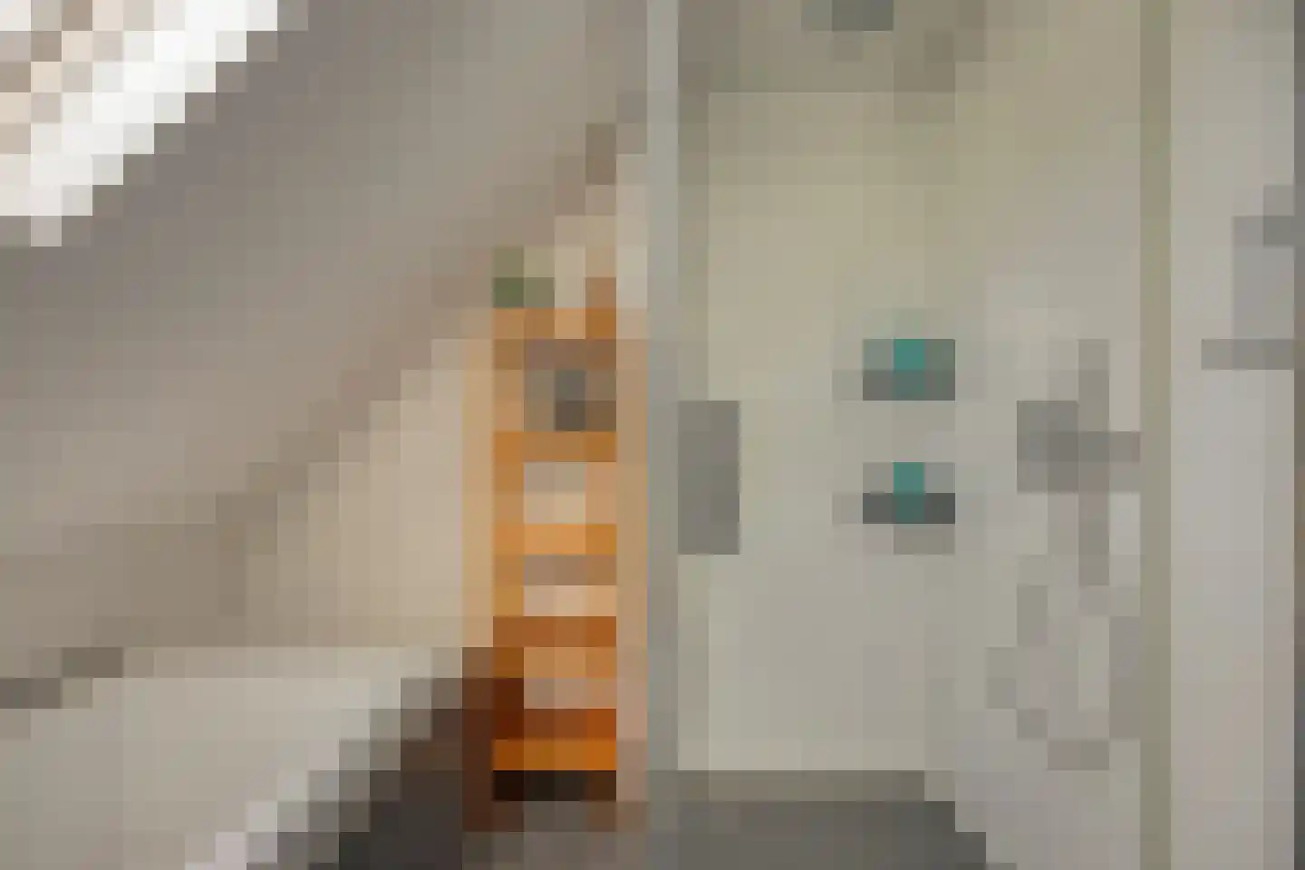 Heerseweg 122 Veldhoven thumbnail 38