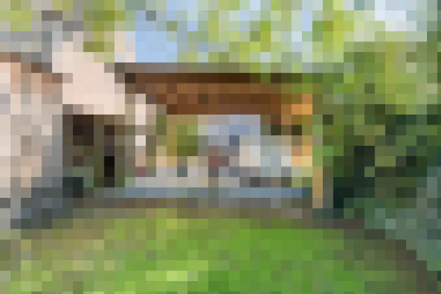 Heerseweg 122 Veldhoven thumbnail 46