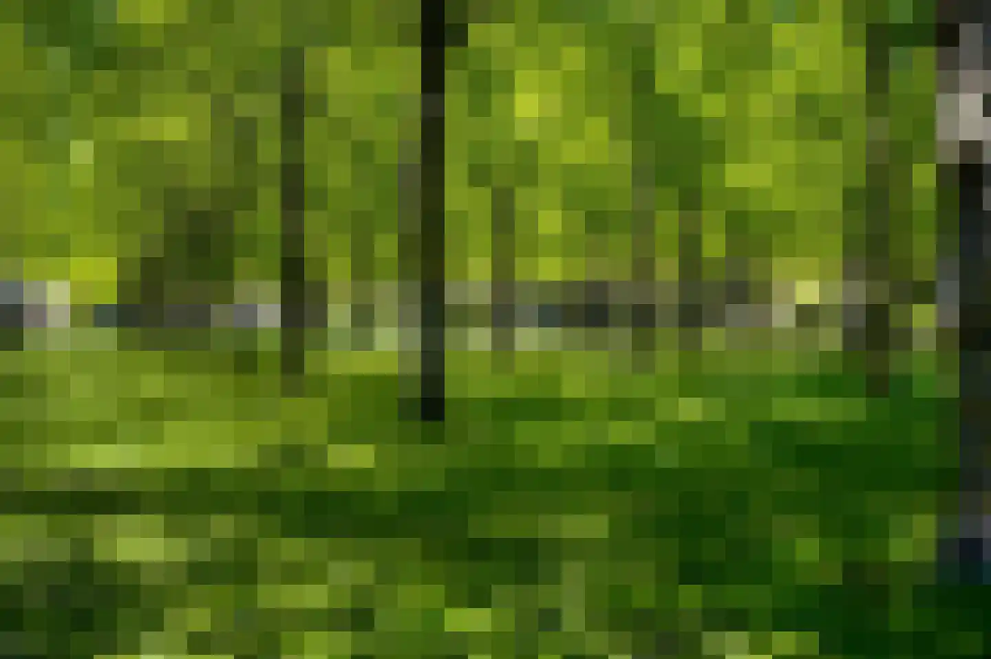 Heerseweg 135 Veldhoven thumbnail 15