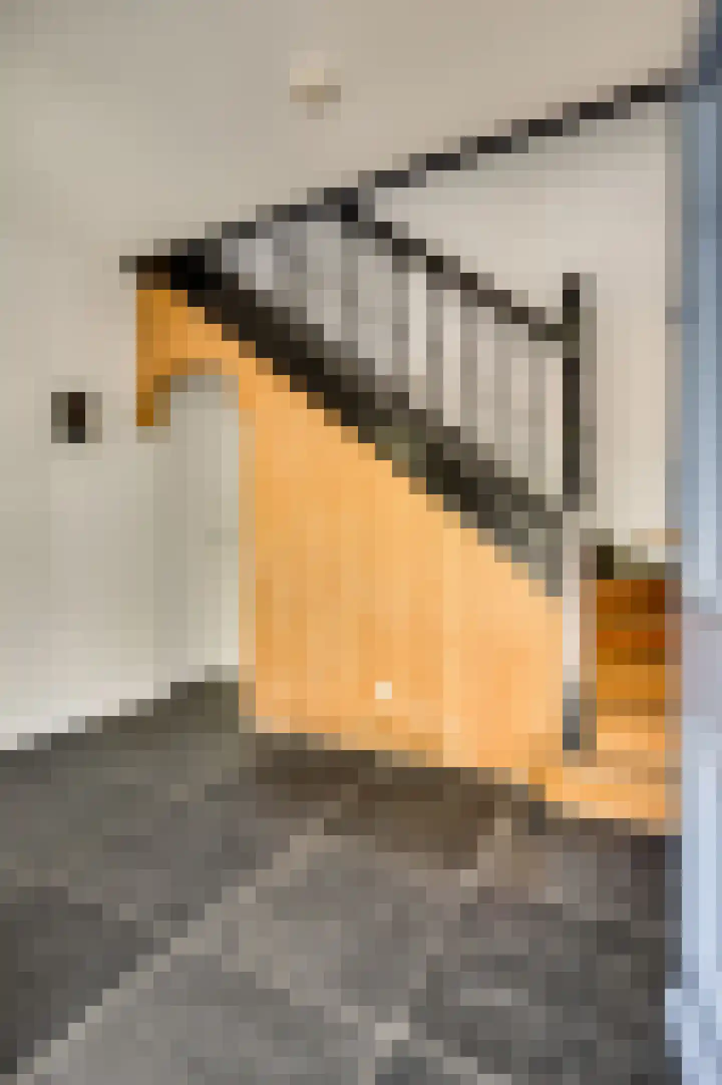 Heerseweg 135 Veldhoven thumbnail 19