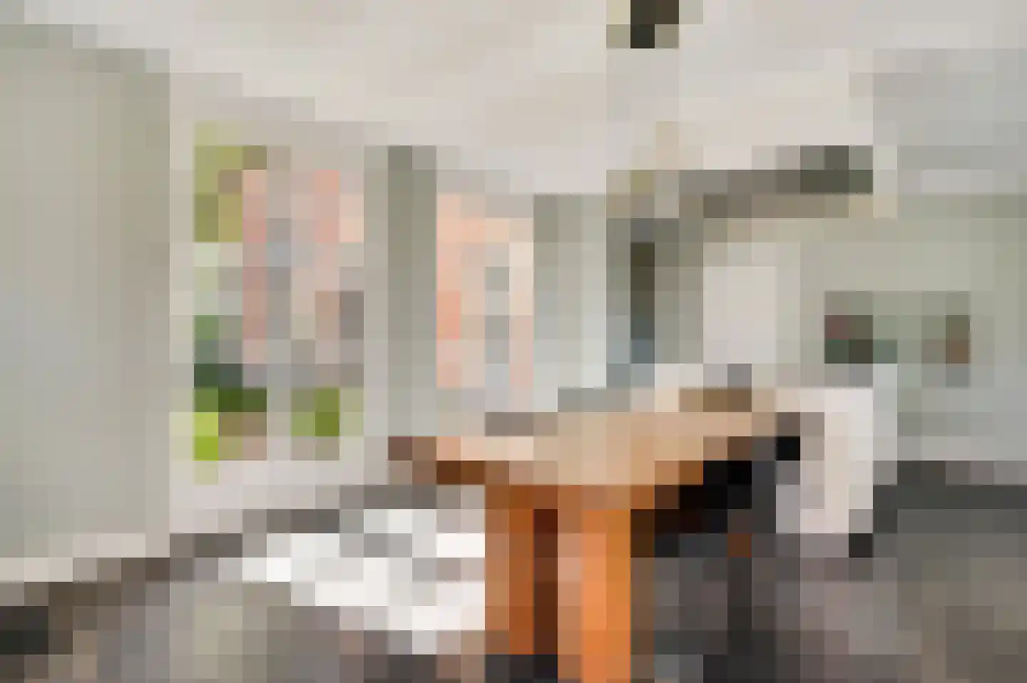 Heerseweg 135 Veldhoven thumbnail 30