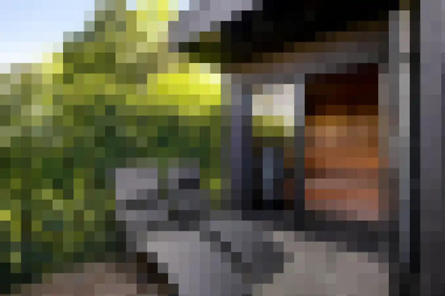 Heerseweg 135 Veldhoven thumbnail 81