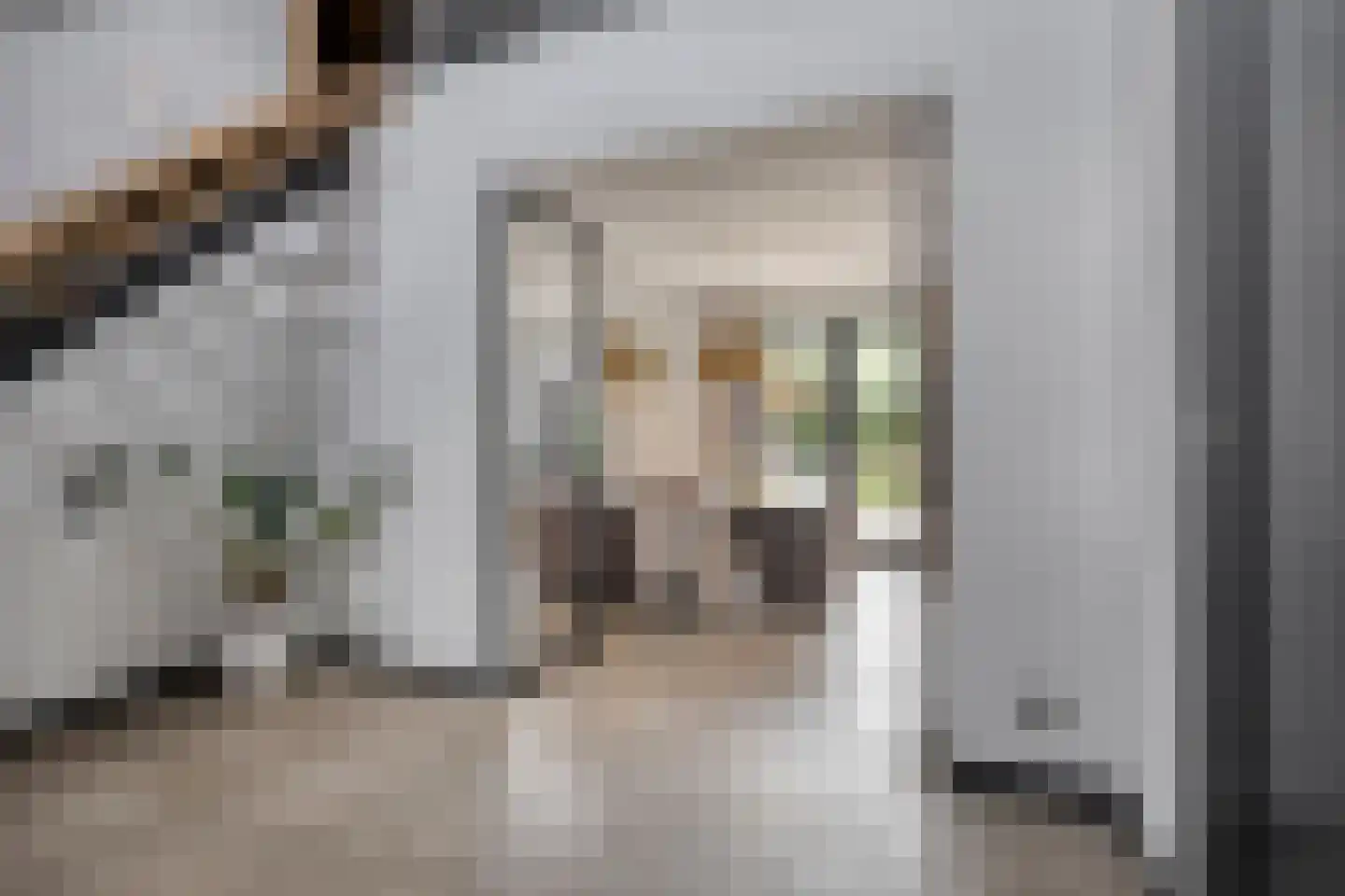 Heerseweg 20 Veldhoven thumbnail 11