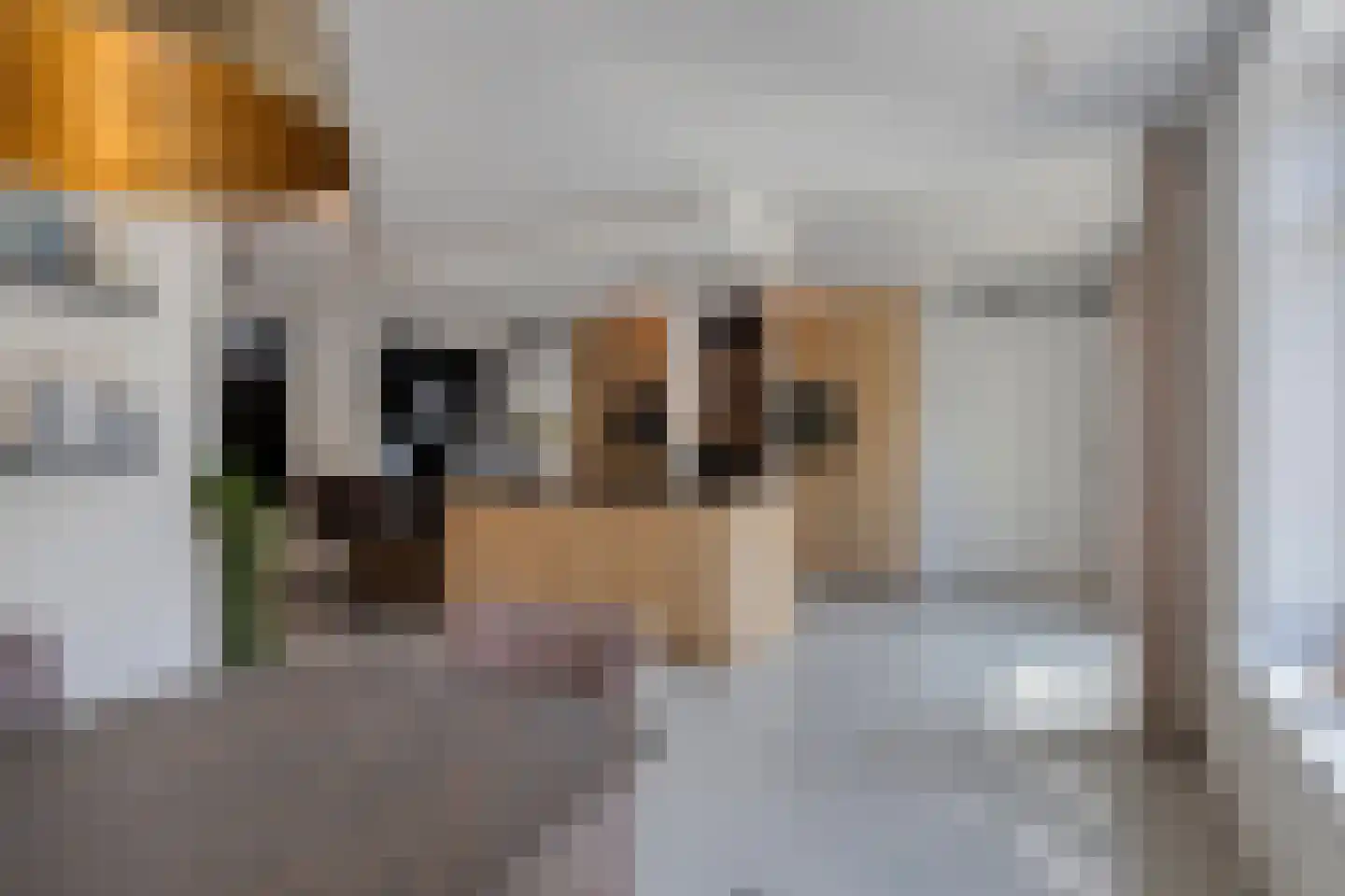 Heerseweg 20 Veldhoven thumbnail 22