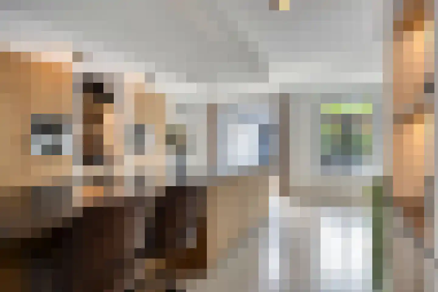 Heerseweg 20 Veldhoven thumbnail 26